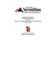 Sustainable Vermillion Policy Report