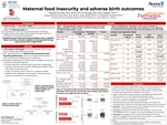 Maternal Food Insecurity and Adverse Birth Outcomes by Narysse Nicolet, Amrita Bhagia, Katie Ziegler, Lacey McCormack, Amy Elliott, and Christine Hockett